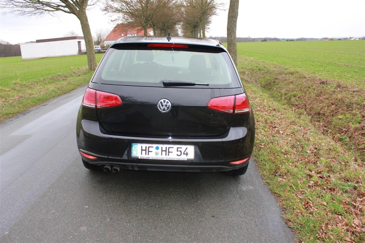 Golf-7