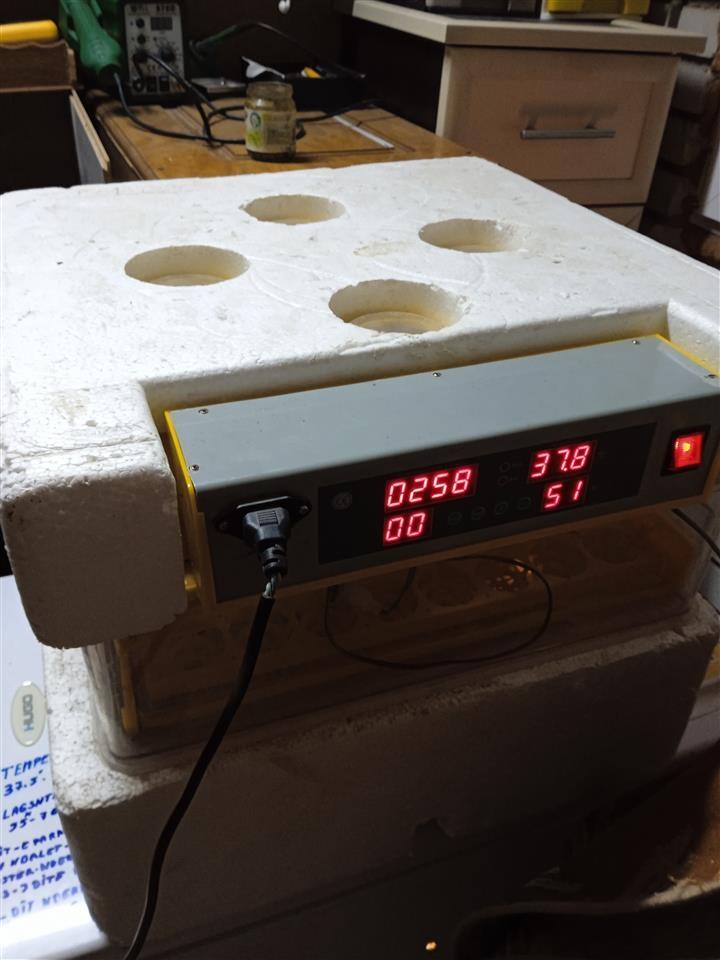 Inkubator-