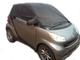 Smart 451