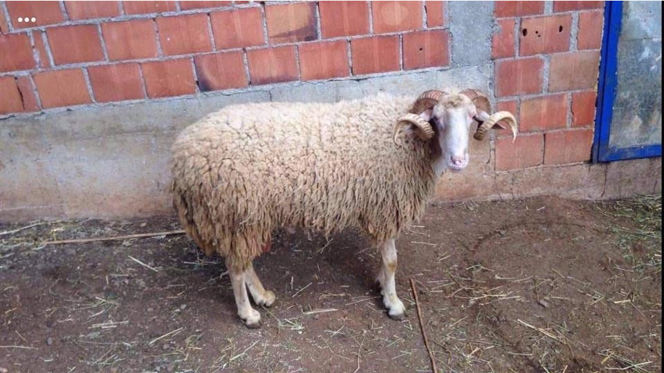Ferma-e-Deleve-te-AGA