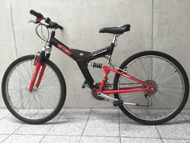 Bicikleta 229