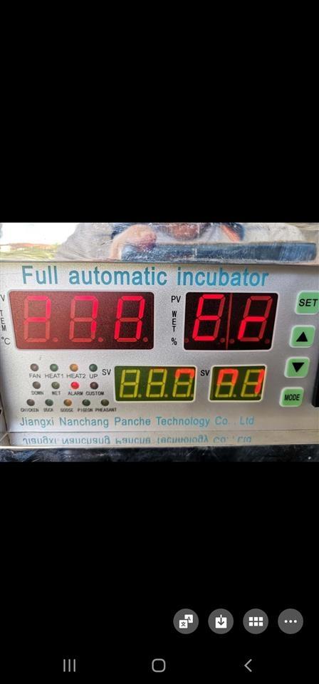 Inkubator