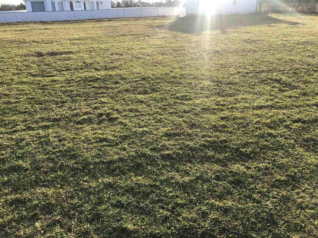 placi-ne-shitje-