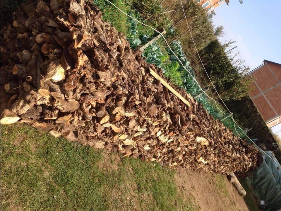 Cunga-