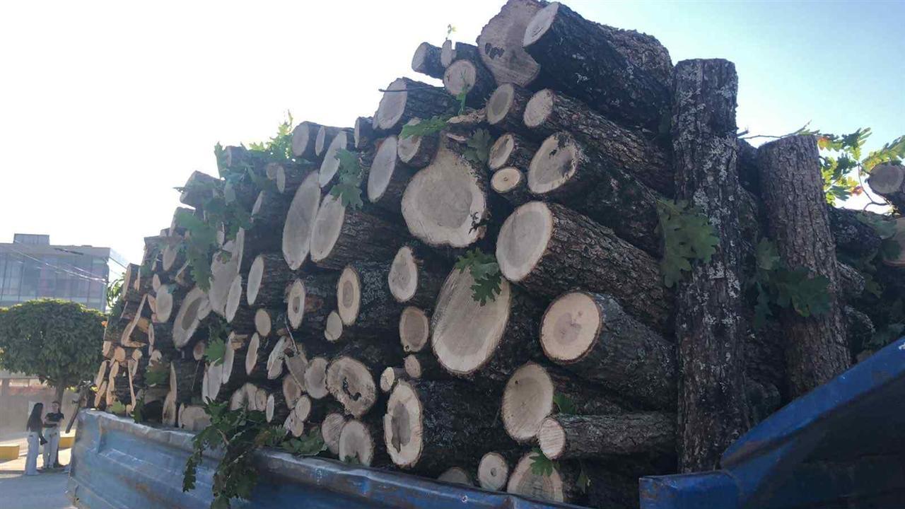 Shesim-dru-zjarri