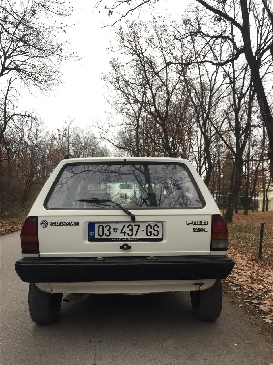 Polo