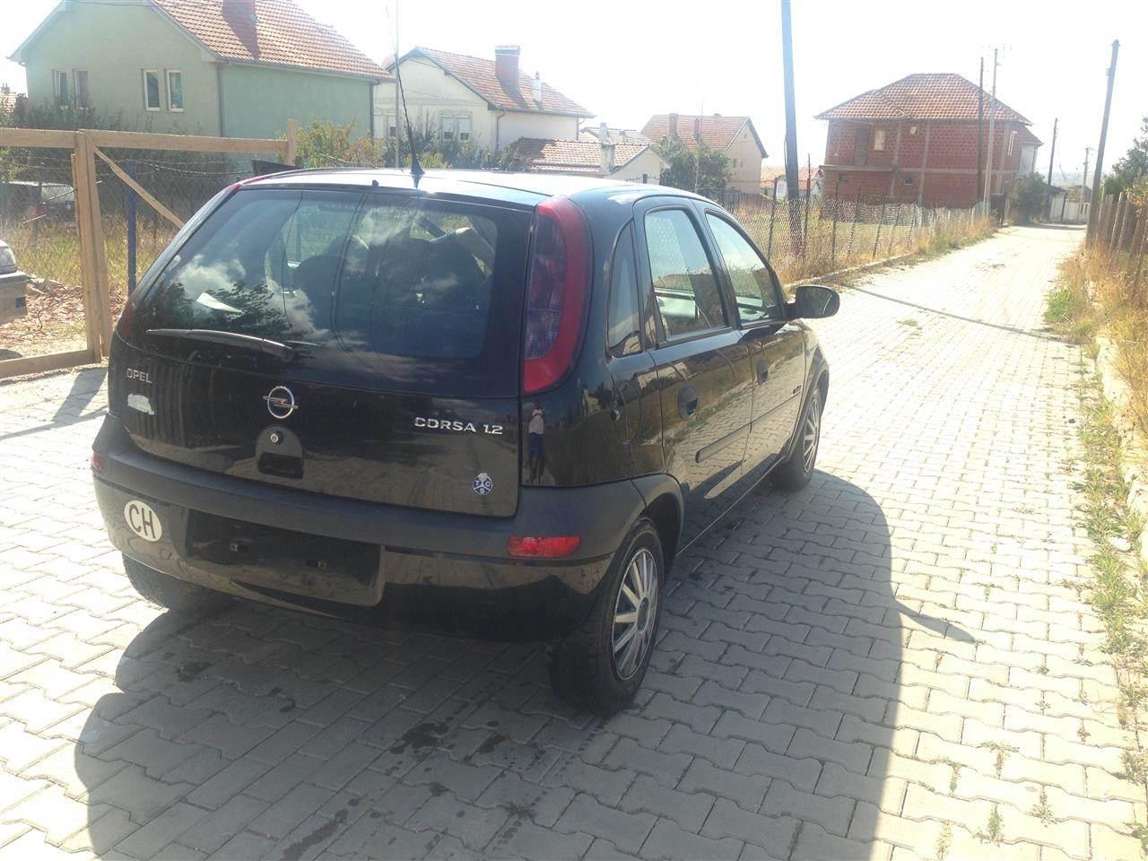 Shes-corsa-