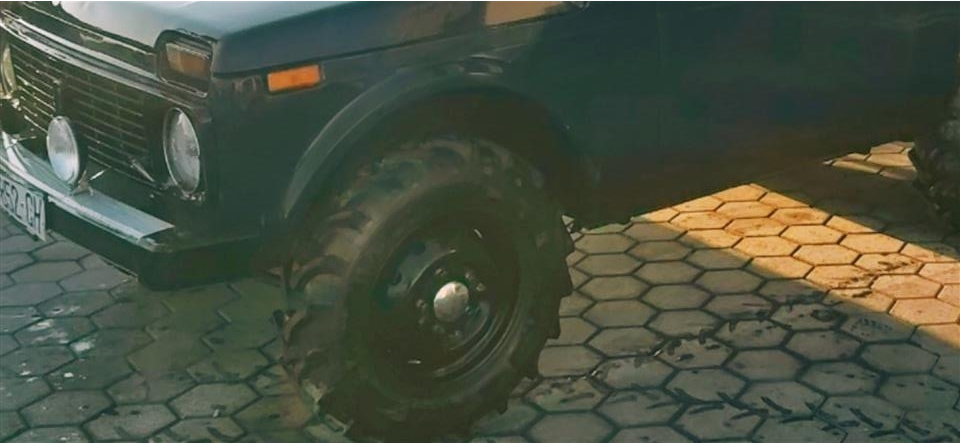 Niva