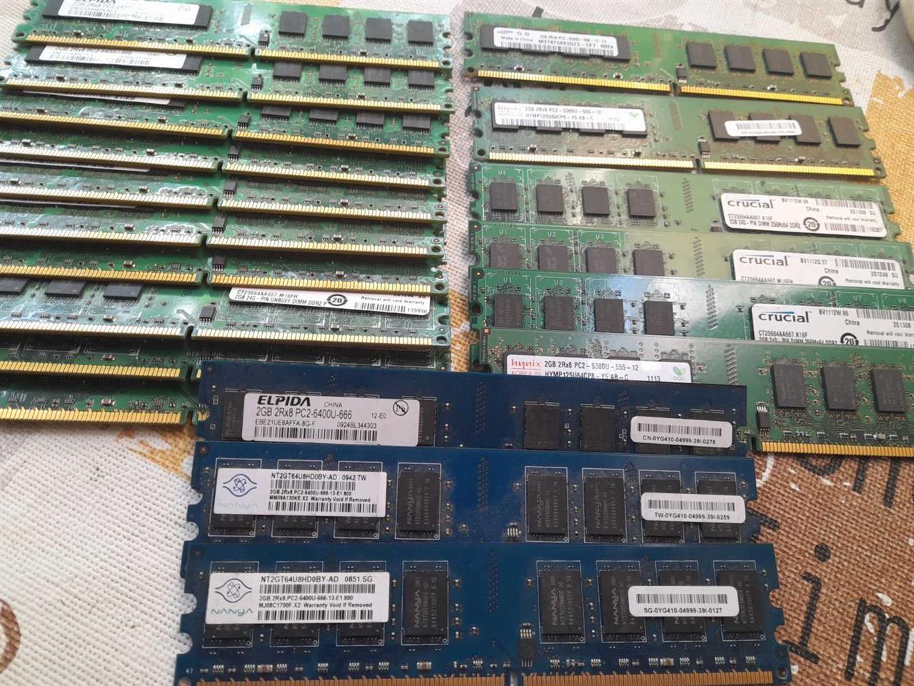 Ram-