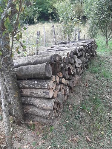 Dru Bungu 
