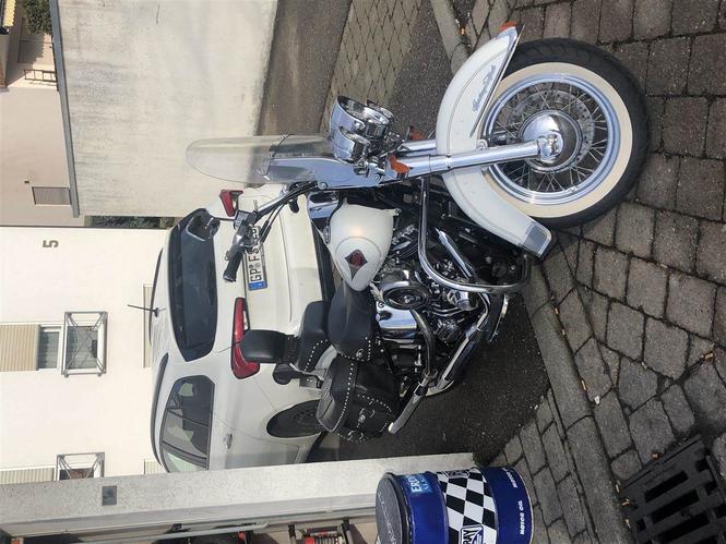 Harley