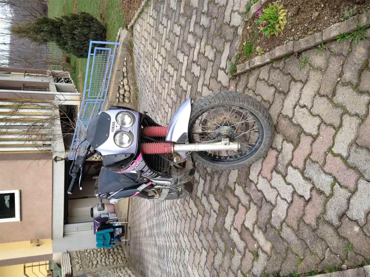 shes-yamaha