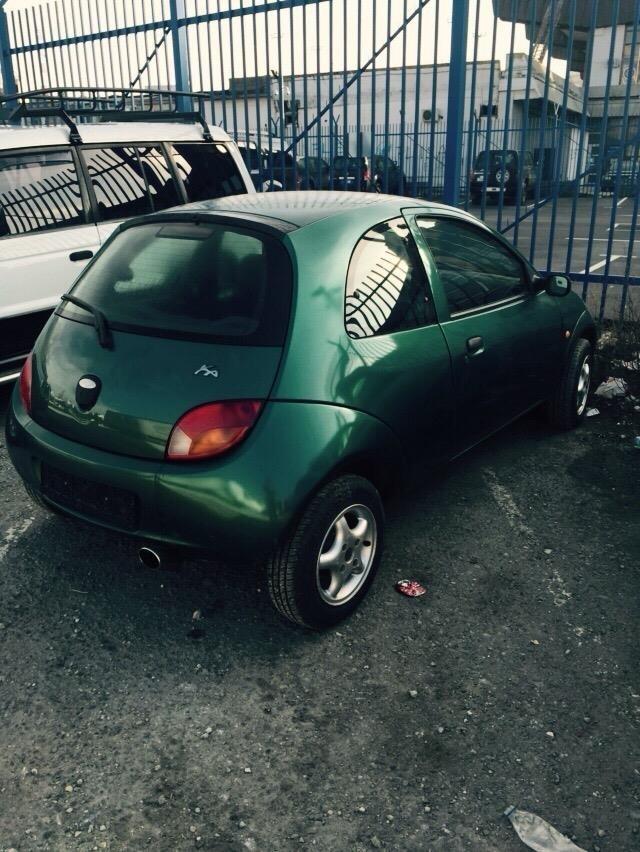 shitet