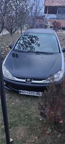 Pezo 206 