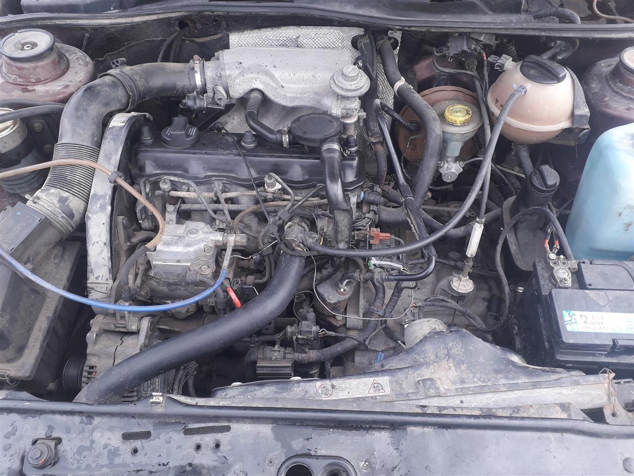 golf2