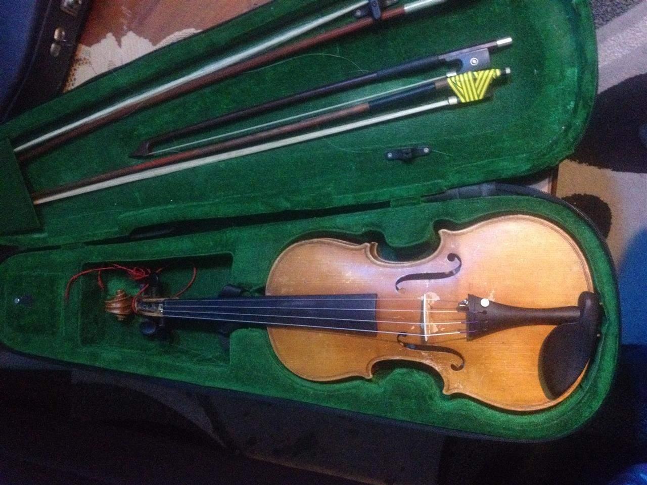 Violina
