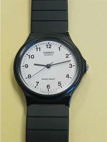 CASIO