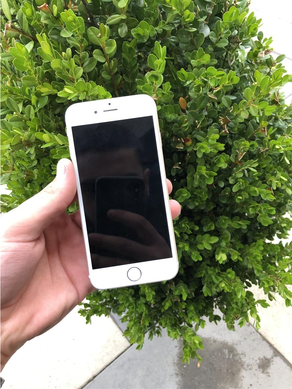 Iphone-6CE