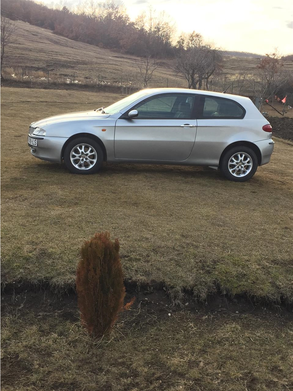 alfarome