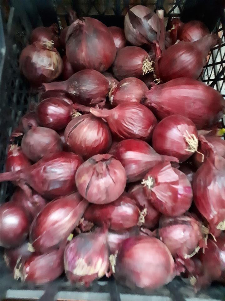 Pasul