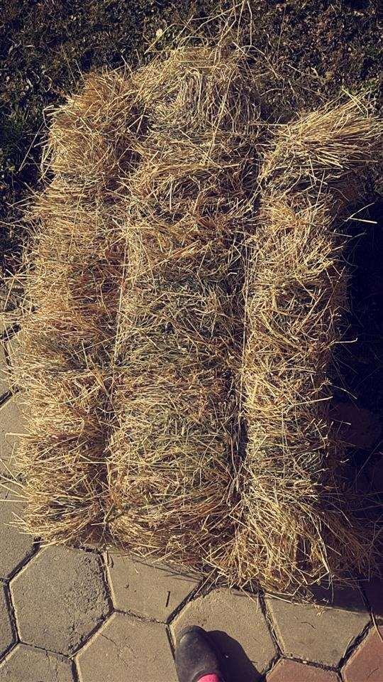Duj