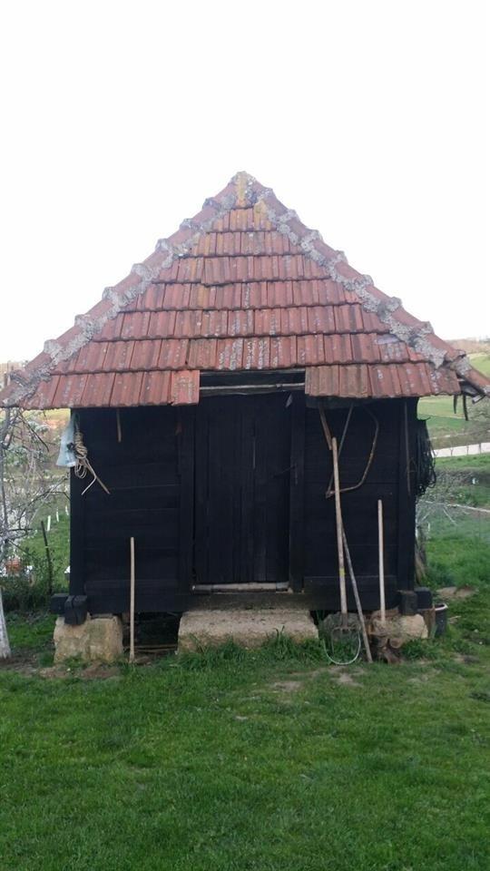 Hamar
