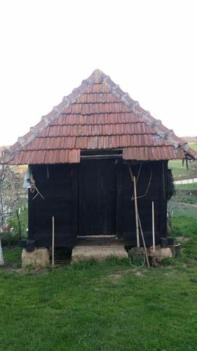 Hamar