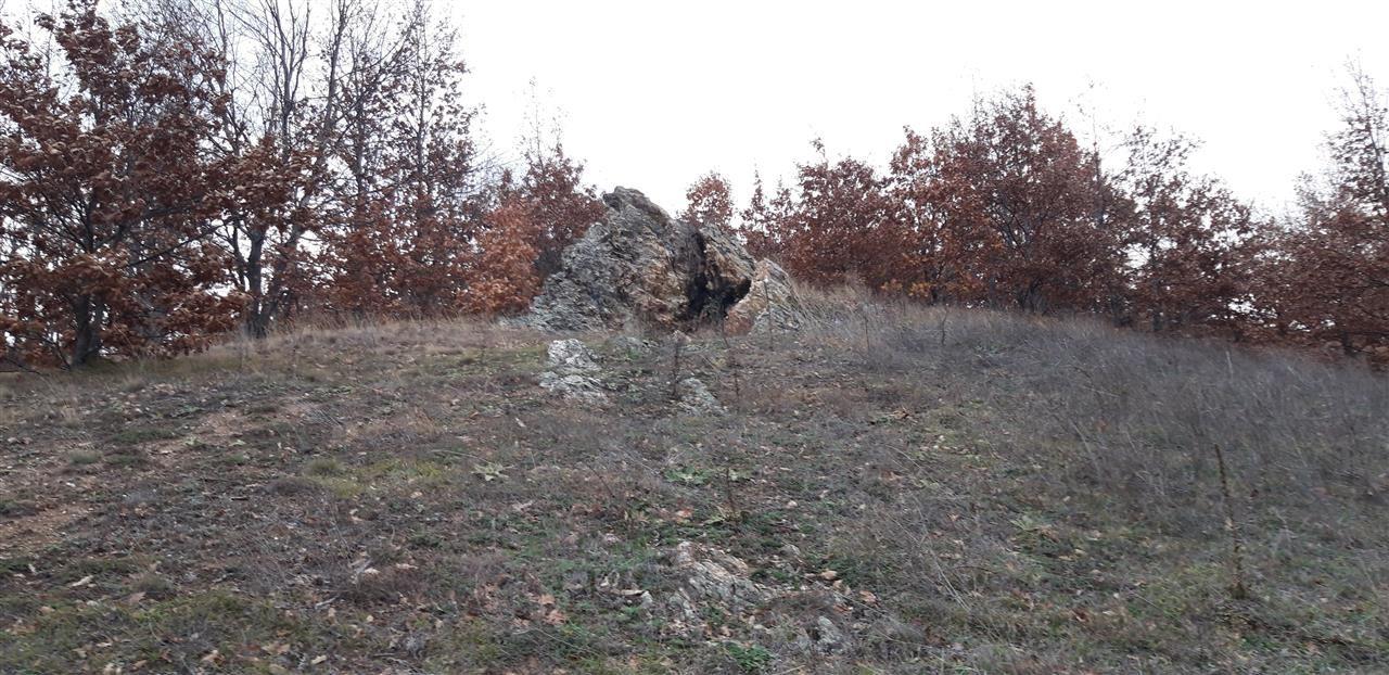 Tokë-Koder-për-GURTHYES