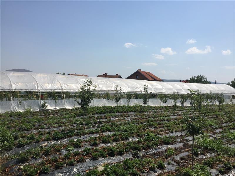 Serra-E-KOMPLETUAR