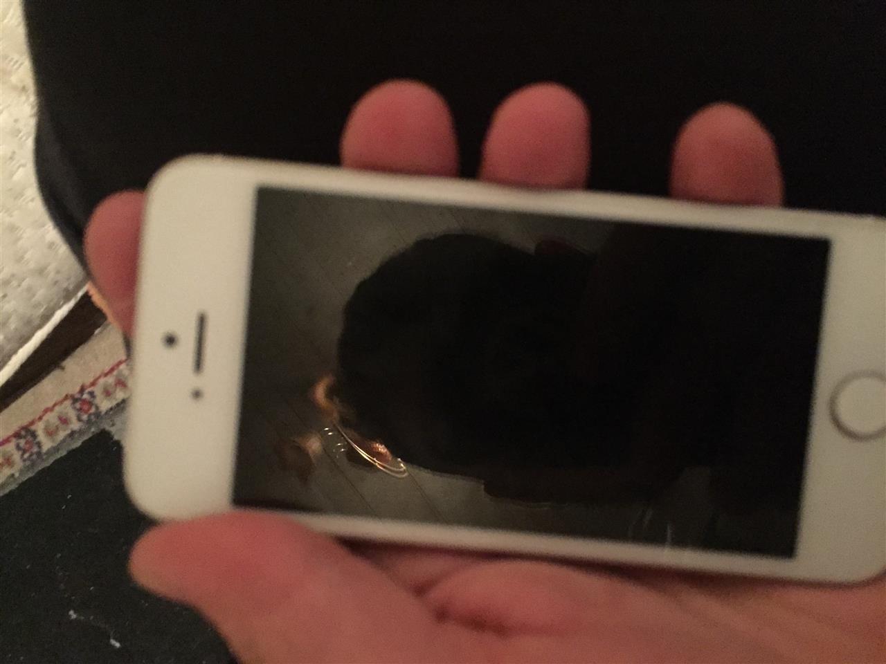045881583
