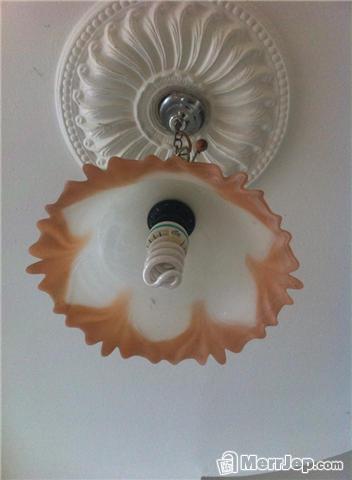 Llustera