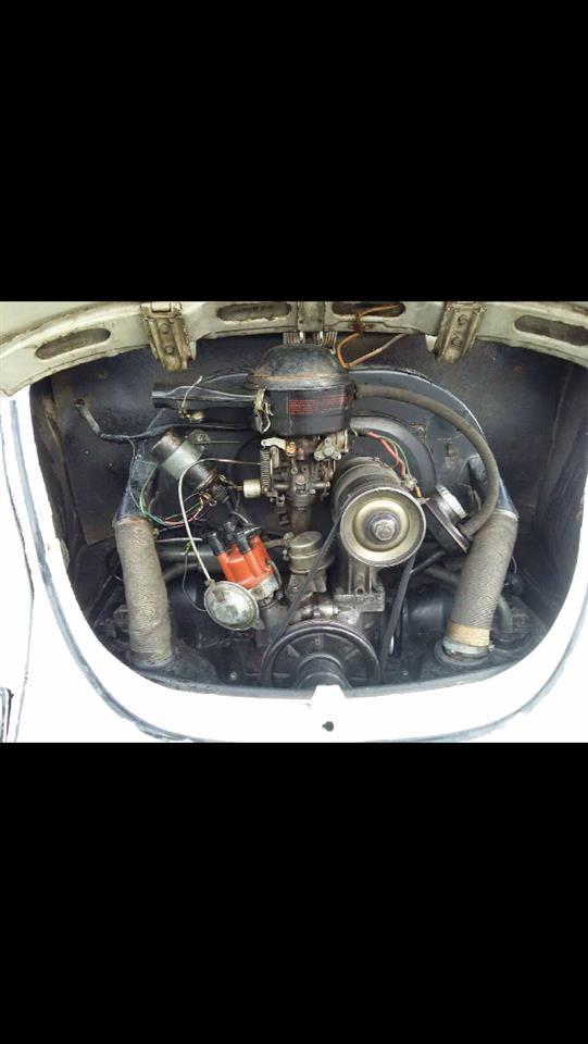 old-Timer-