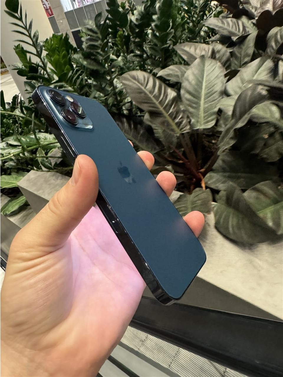 iphone-12-Pro-Max---