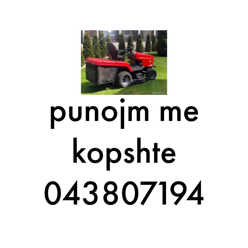 punojm-me-kopshte