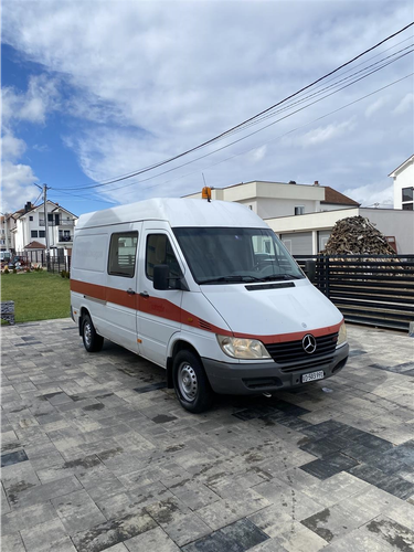 sprinter 313