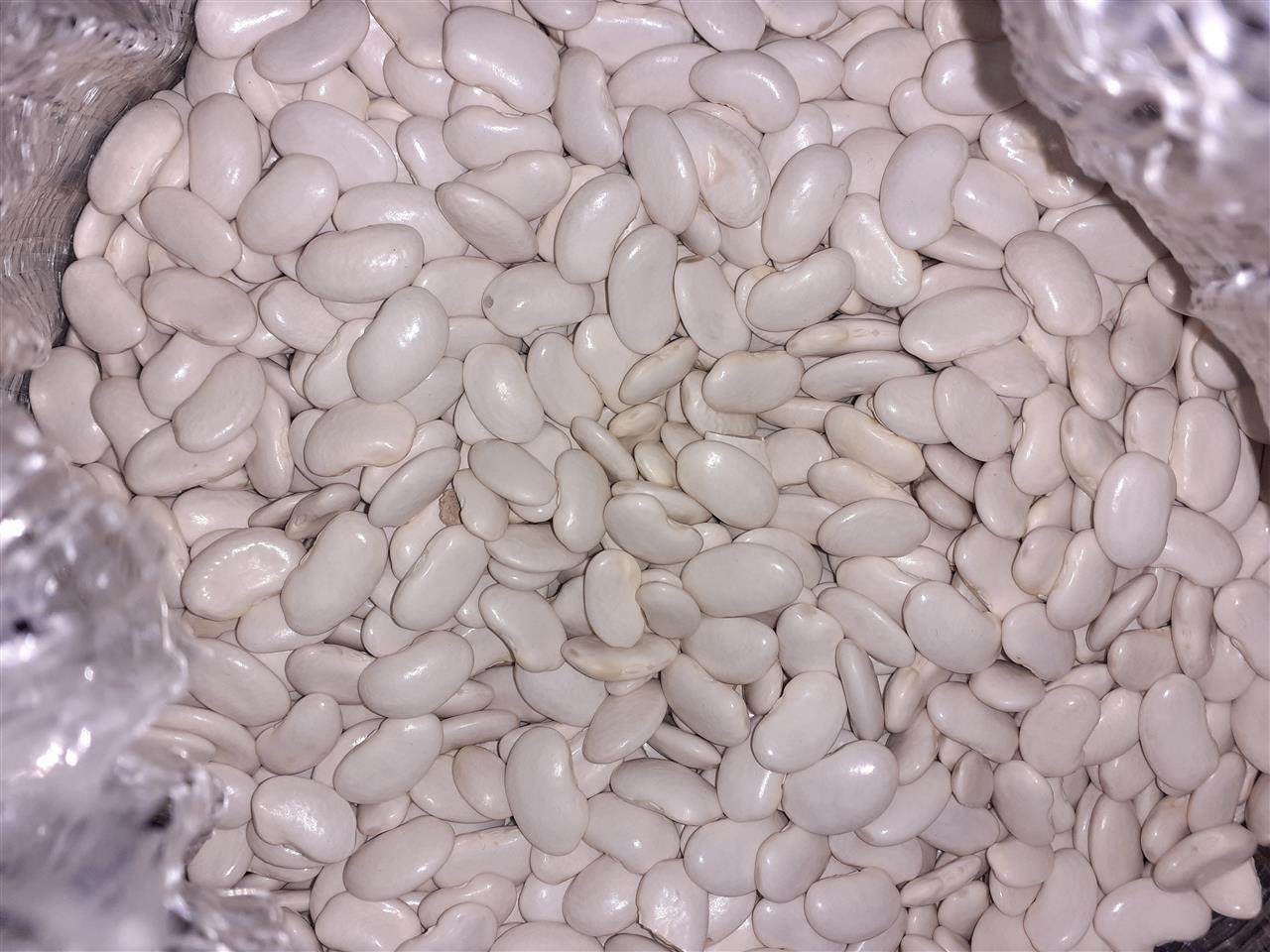 Pasul