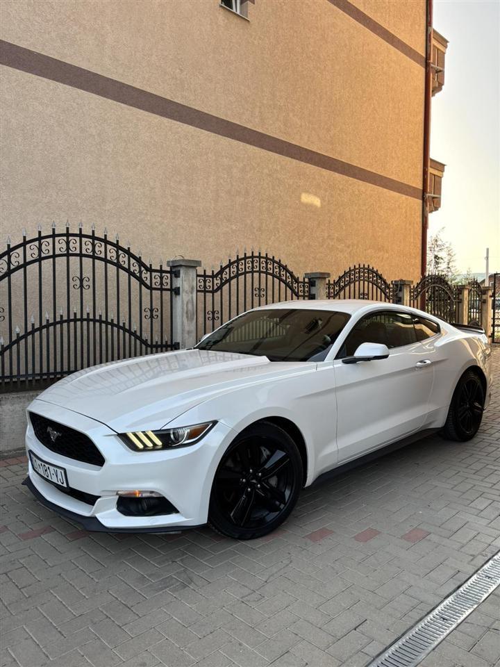 Mustang