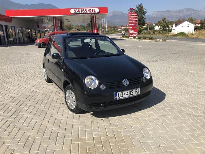 Lupo 