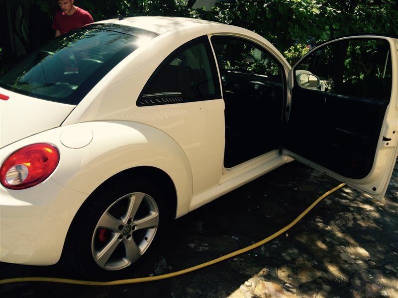 Bettle
