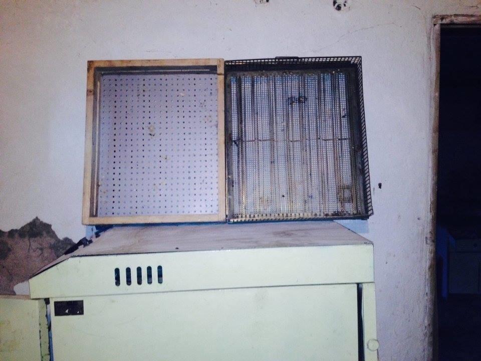 Inkubator-