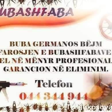 Bubashfaba