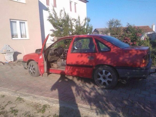 SHITET!