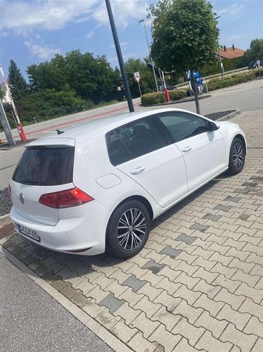 Shitet golf 7