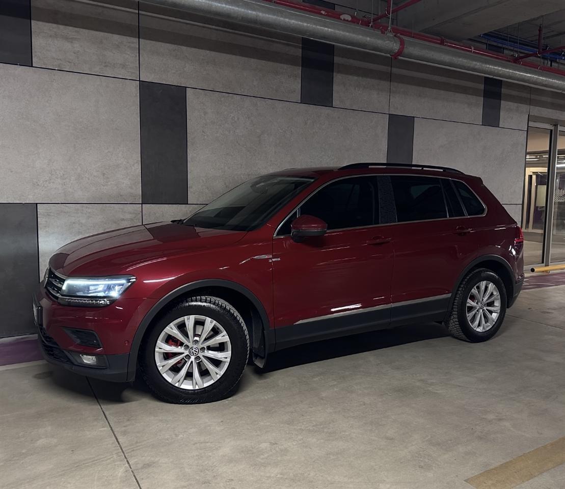 Fellne-org-vw-17