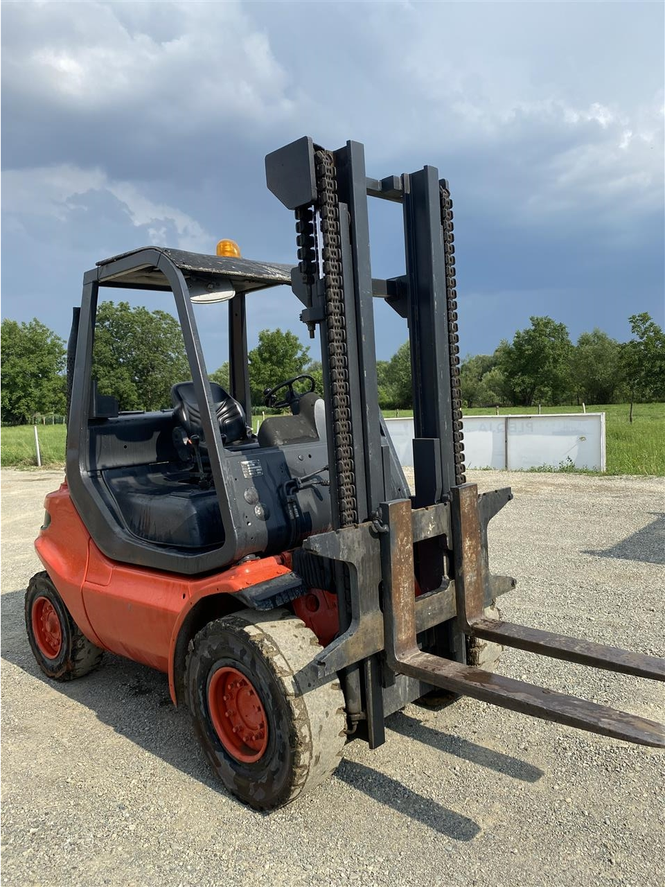Pirungrites-Linde-40