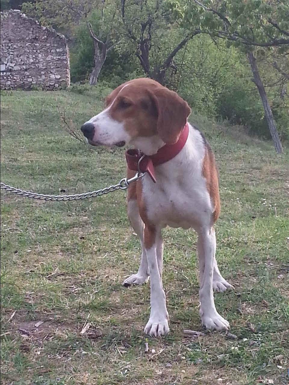 Zagar