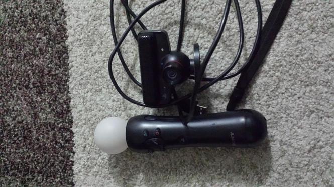 shes ps3 move