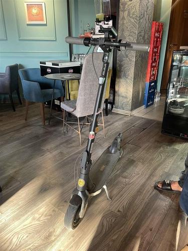 Ninebot G30