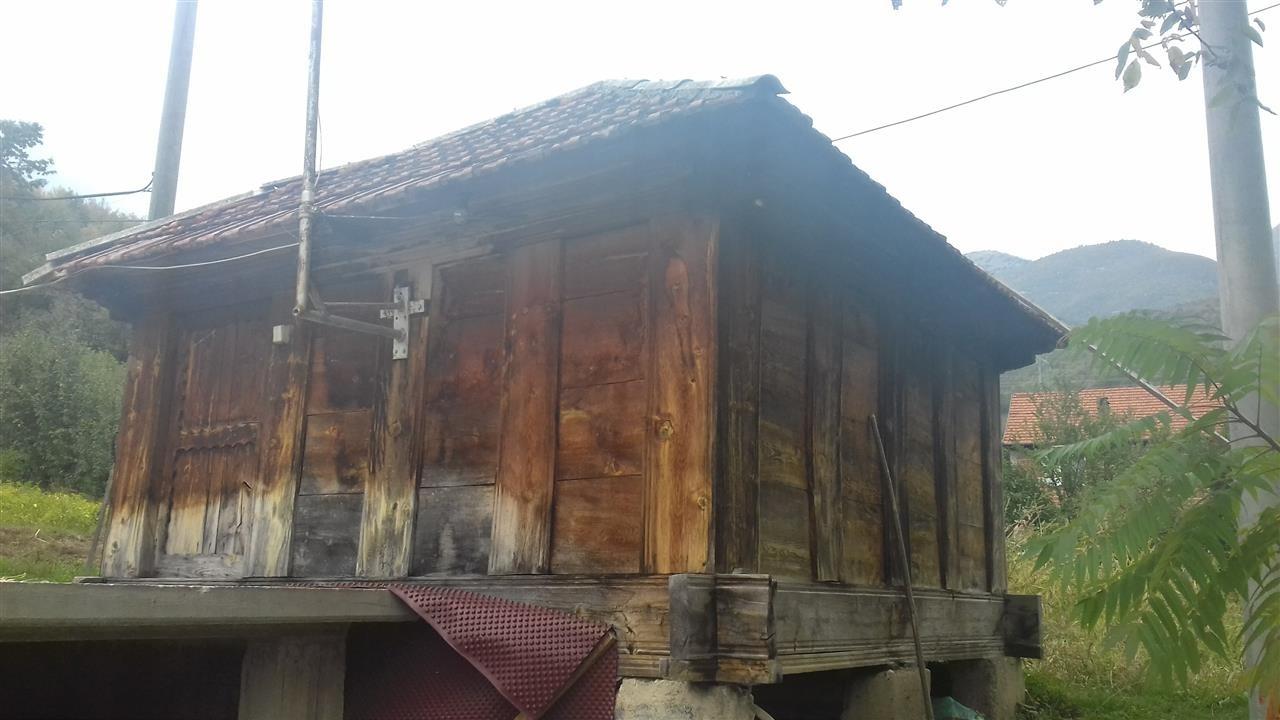 Hambar-Për-Drithëra