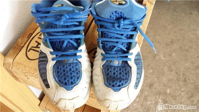 pumat-adidas
